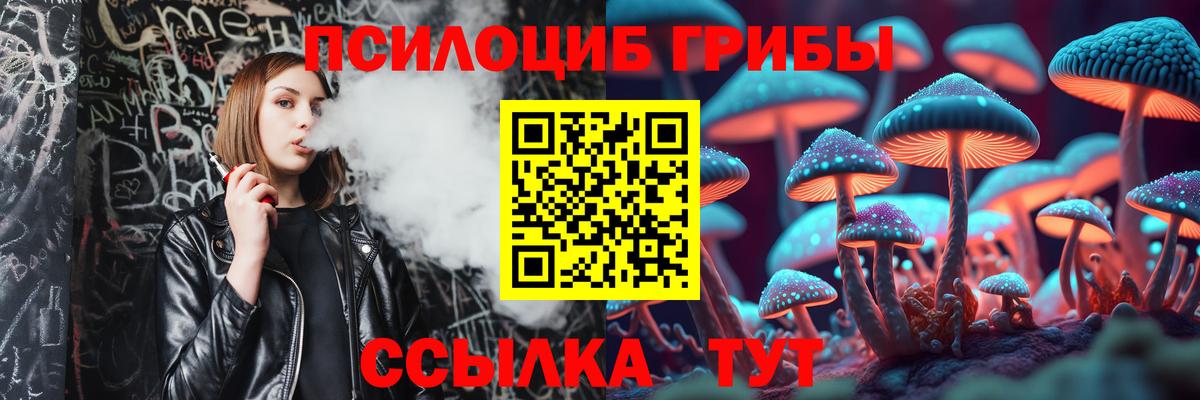 Псилоцибиновые грибы Cubensis  Карталы 